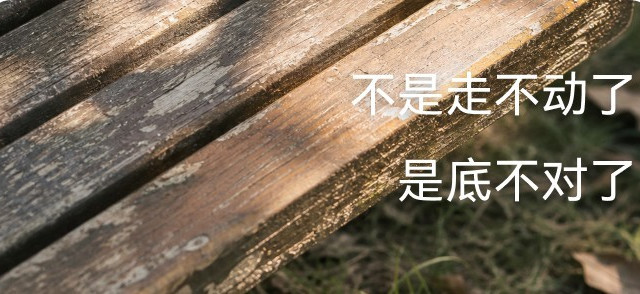 硅胶垫会扁，记忆棉会塌——三款鞋垫用了三个月，只有它还撑着