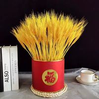 居家治愈好物🌾一束黄金麦穗，藏着岁岁丰盈的温柔与期许🫧