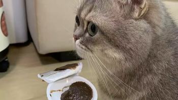 掉毛季救星✨猫狗通用酶解排毛！养宠家庭闭眼囤