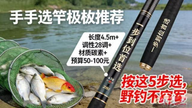 小综合还是大综合？新手选竿从这两个问题开始
