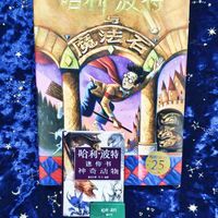 魔杖真的会选主人？《哈利·波特》核心设定深度解读
