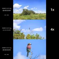 华为长焦终于赢了苹果？看完这篇我悟了