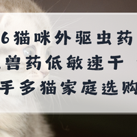 2026猫咪外驱虫药推荐 正规兽药低敏速干 室内猫新手多猫家庭指南