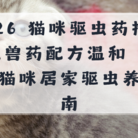 2026猫咪驱虫药推荐 正规兽药配方温和 适配低龄猫咪居家驱虫指南