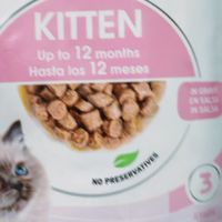 皇家幼猫汤汁餐包｜生病小猫超爱的安抚干饭神器