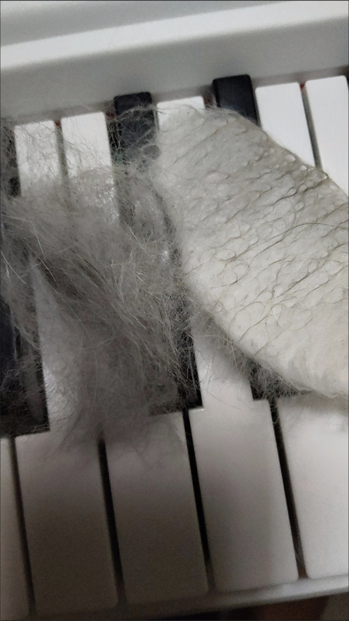 网易严选猫咪湿粮/罐头