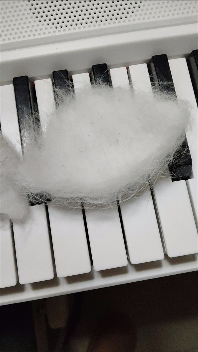 网易严选猫咪湿粮/罐头