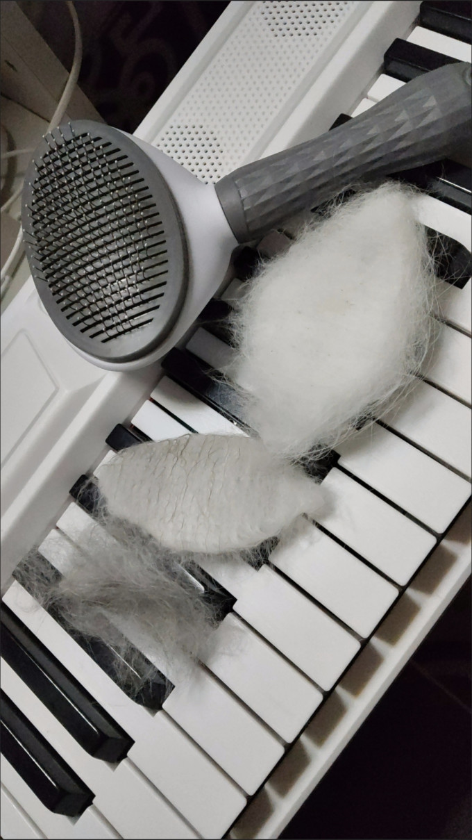 网易严选猫咪湿粮/罐头