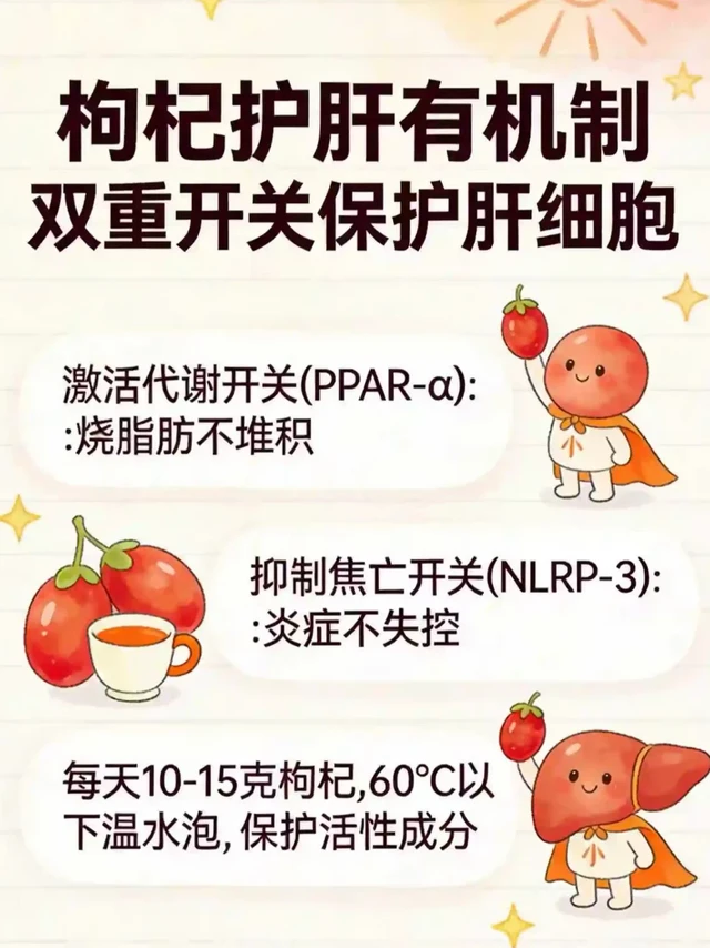 🛡️枸杞护肝双开关！熬夜党必须知道的机制