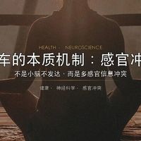 电动车比燃油车更易晕？科学解释来了
