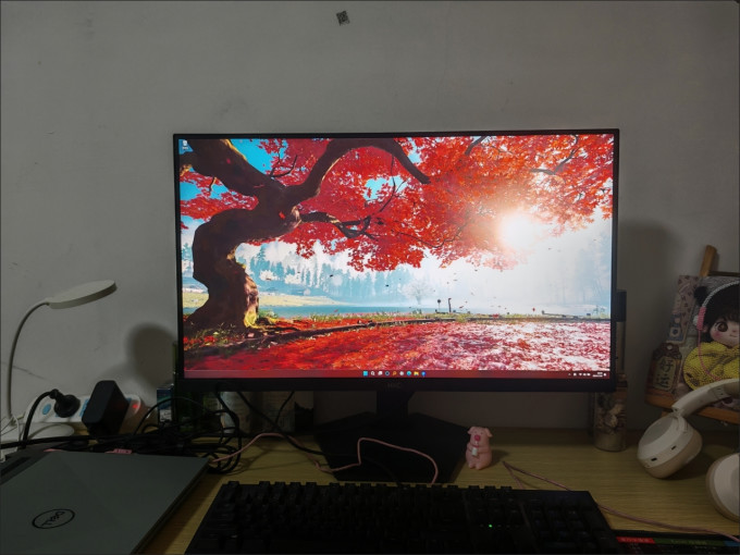 显示器