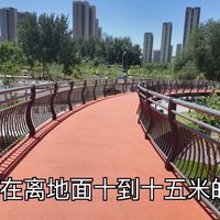 北京宠物友好公园避暑对比：空中花园VS山水秘境，2026年盛夏带狗去哪更凉快