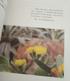 治愈千万迷茫人！这本温柔好书，是我的一生私藏书单