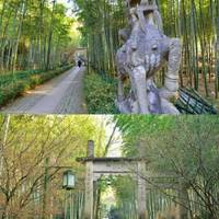 2800万游客都往断桥挤，西湖西岸却藏着这样的秘境