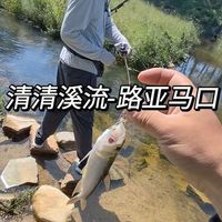 7款溪流UL竿横评：便携性、感度、价格谁更值得买？