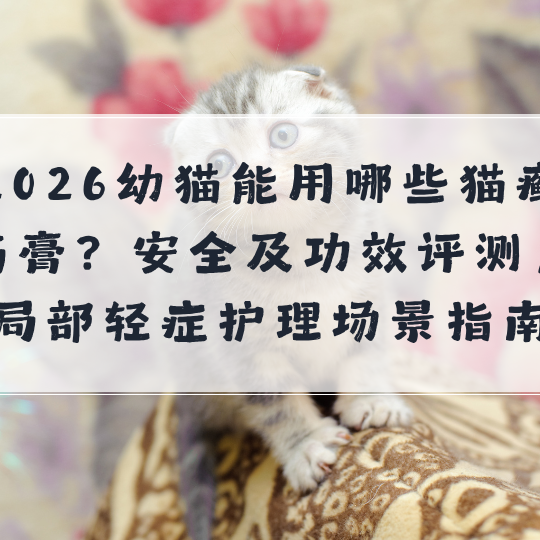 2026幼猫能用哪些猫癣药膏？安全及功效评测，局部轻症护理场景