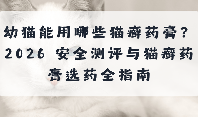 幼猫能用哪些猫癣药膏？2026 安全测评与猫癣药膏选药全指南