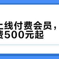 豆包上线付费会员，专业版月费500元起