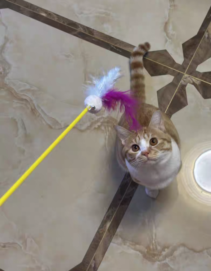 其他宠物日用