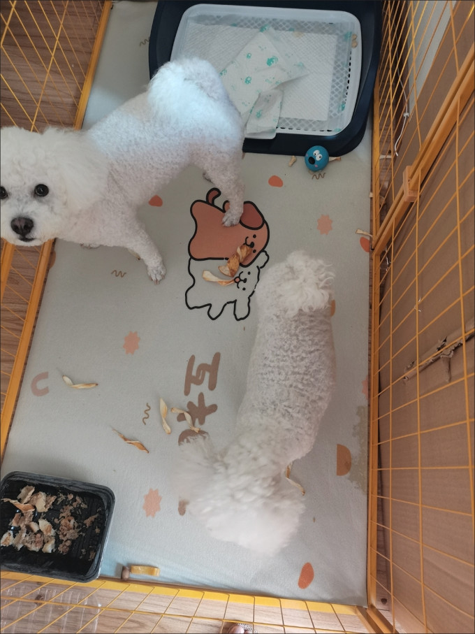 网易严选猫咪湿粮/罐头