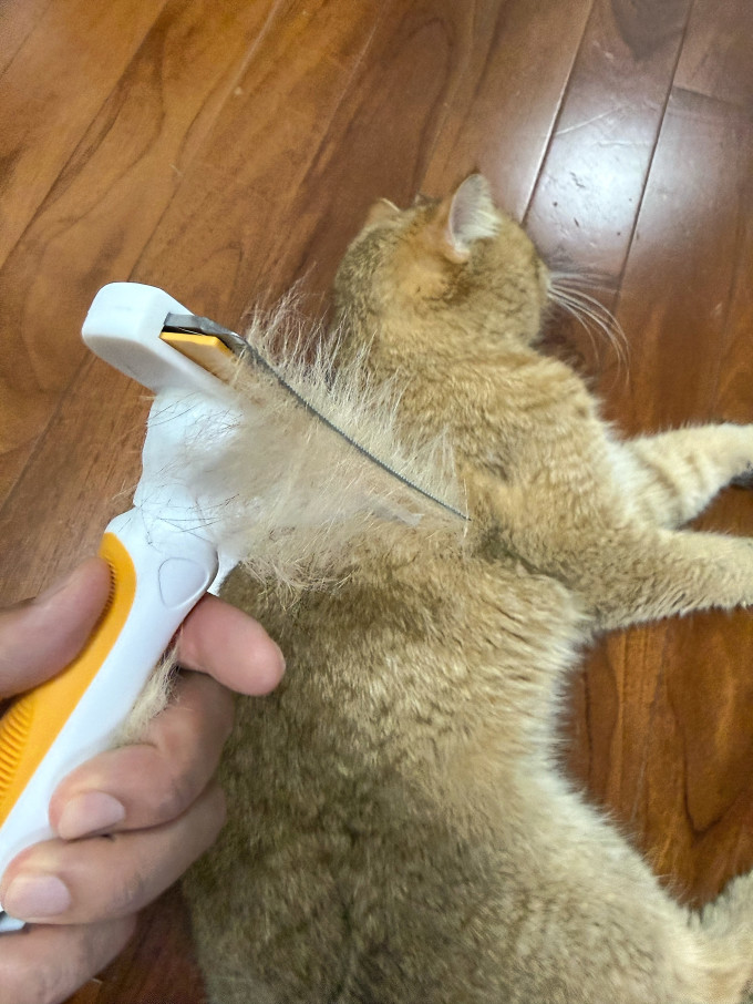 其他宠物日用