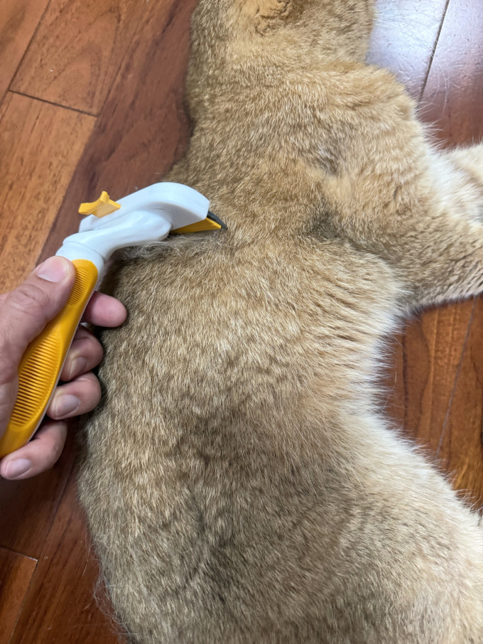 其他宠物日用