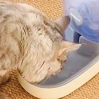 最新优惠