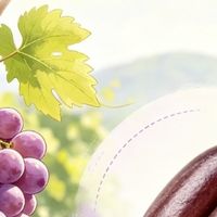 葡萄籽提取物哪个品牌好？2026实测配方，由内焕亮肌肤状态