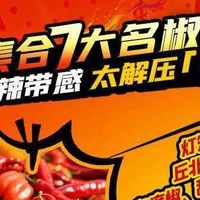 火鸡面推荐?2026年高性价比品牌深度测评与选购榜单