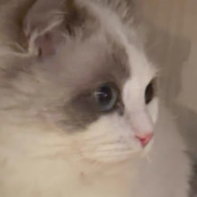 网易严选多款高性价比猫砂精选