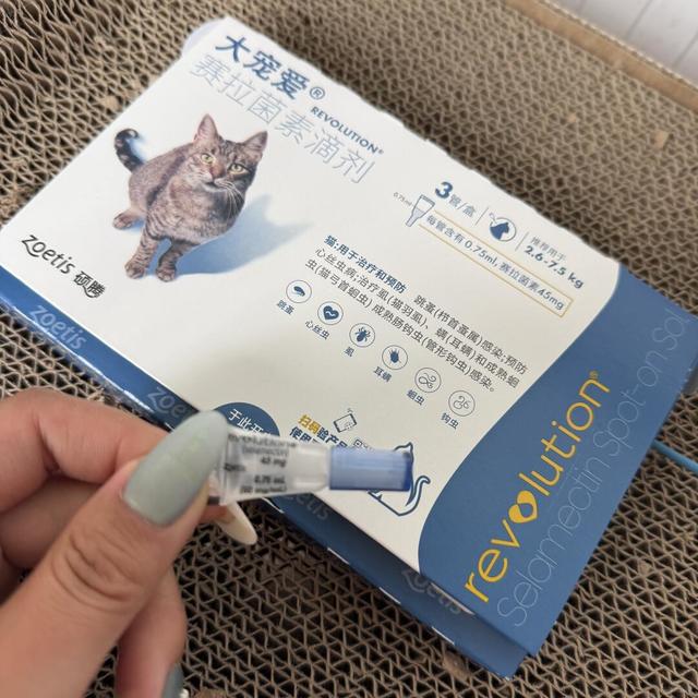 谁懂用大宠爱的时候看到有虫子在爬🤧