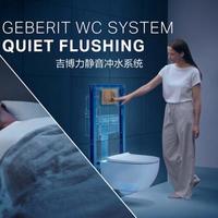 水压低的高层住户和老人有救了！这款马桶砍掉鸡肋功能正好够用