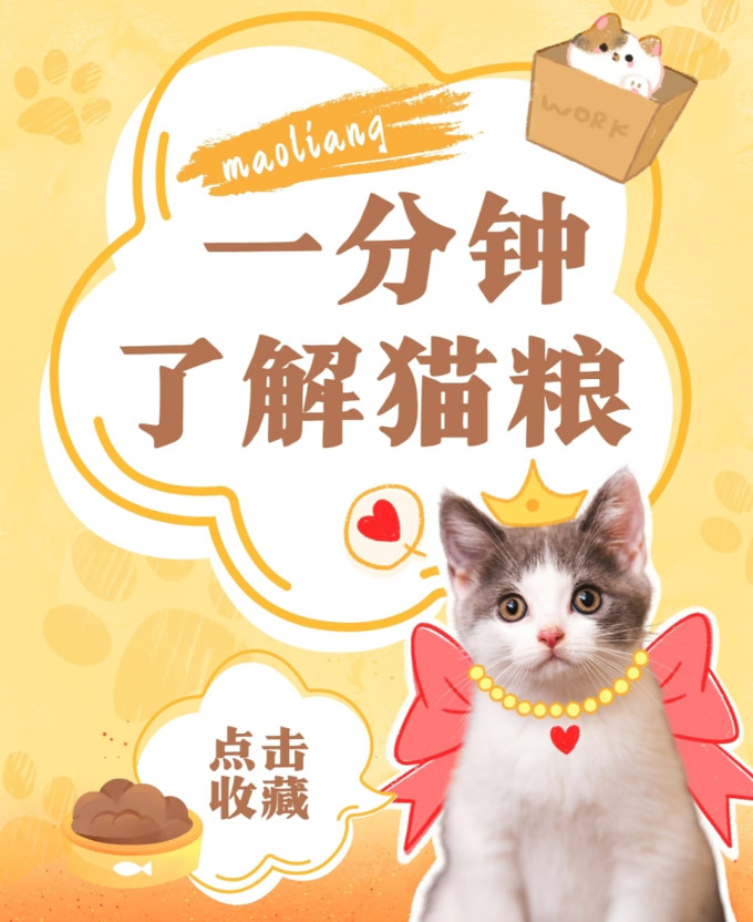 宝路猫咪湿粮/罐头