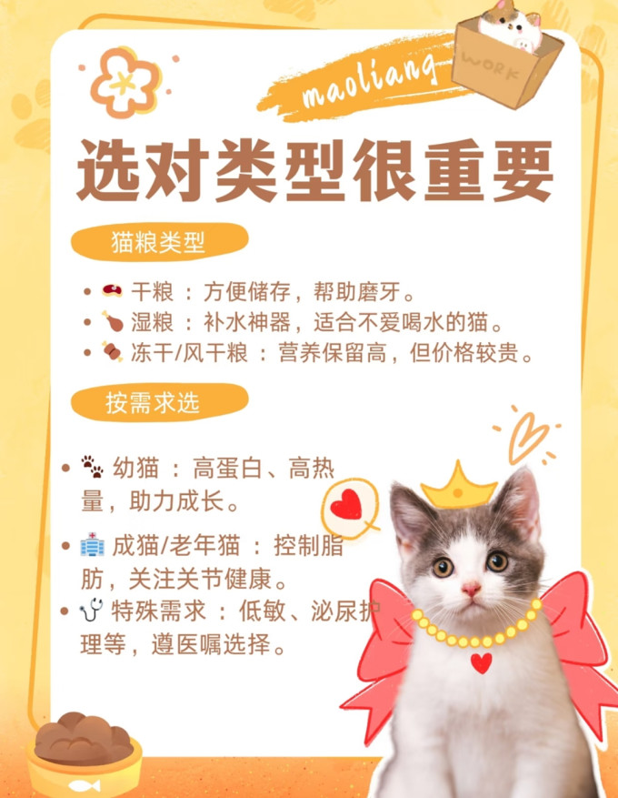 宝路猫咪湿粮/罐头