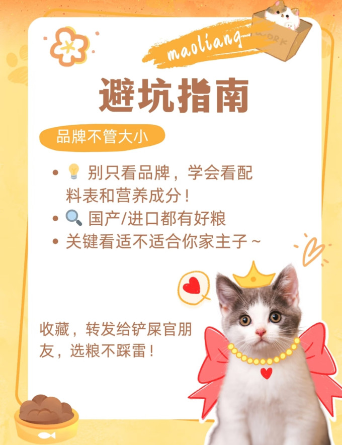 宝路猫咪湿粮/罐头