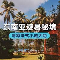 大叻怎么吃?本地人带路,避开游客陷阱,从早餐到甜品全攻略