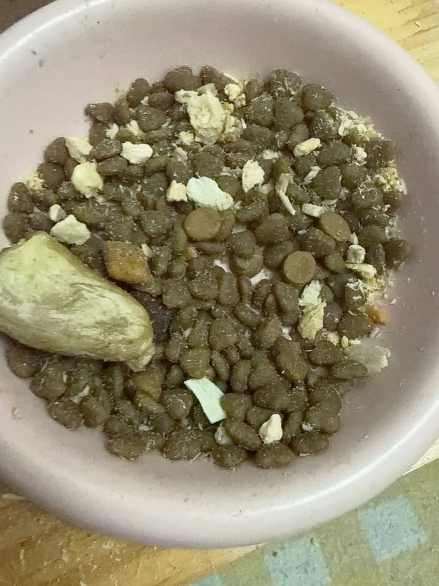 感性“生活家”视角——从挑食怪到干饭王，它用光盘投票🍽️