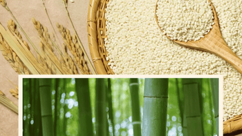 比普通粽子贵一倍的竹筒粽到底值不值？实测万寿斋礼盒，优缺点都扒了