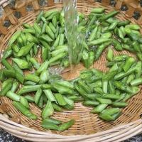夏天南瓜藤别扔！低卡刮油、口感脆嫩，90%的人都不知道它是宝