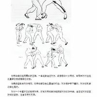 李小龙截拳道最本质的原理，一句话让全球格斗圈研究了几十年