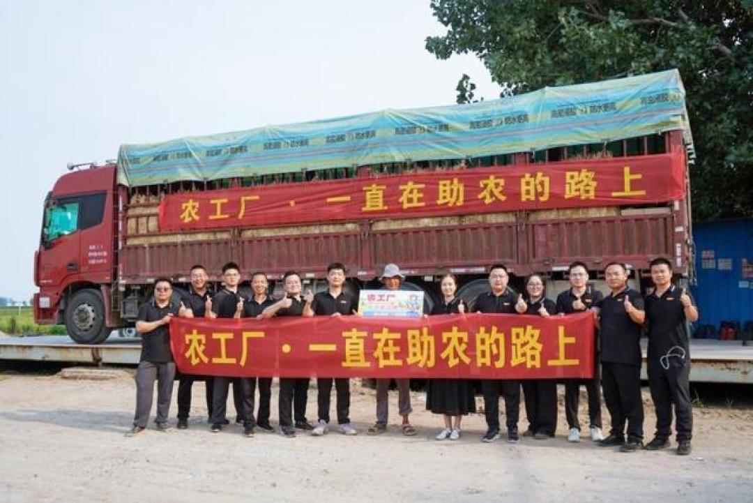 一车瓜仅几十元！河南西瓜价格“大跳水”，丰产为何不丰收？