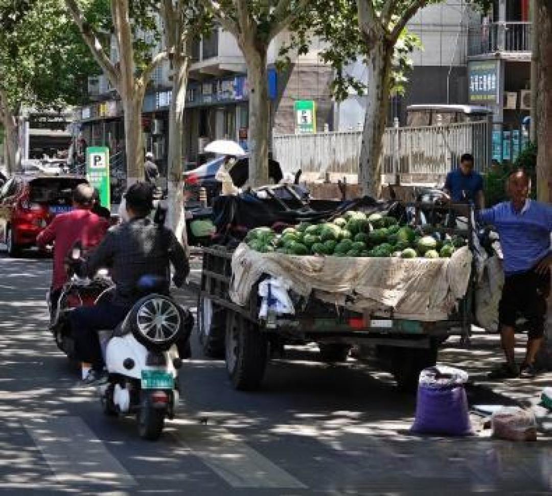 一车瓜仅几十元！河南西瓜价格“大跳水”，丰产为何不丰收？