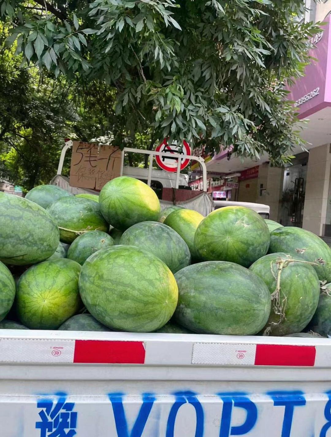 一车瓜仅几十元！河南西瓜价格“大跳水”，丰产为何不丰收？