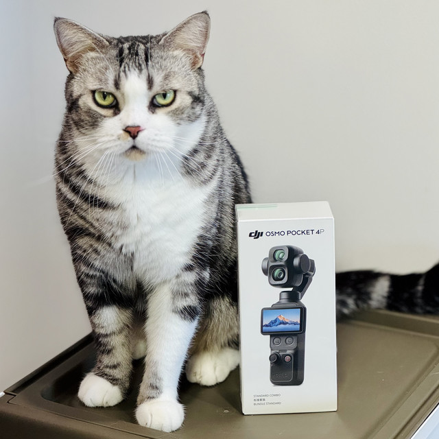 终于抢到大疆Pocket 4P，但我得说它目前还是像个“半成品”
