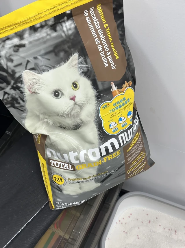给猫减肥然后买一堆减肥猫粮...实话实说吧