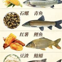 野钓万能饵料对照表|一物配一鱼,选饵到位告别空军