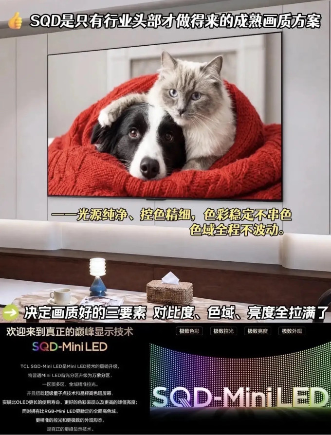 电视