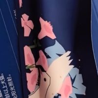 蓝氏乳鸽洁齿棒，猫界"饭后刷牙"也有了