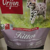 我家猫真的很会生活｜618猫粮囤货，渴望幼猫低敏款是真细心