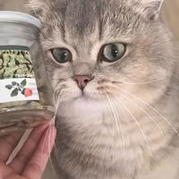 网易严选猫零食：健康与乐趣兼得